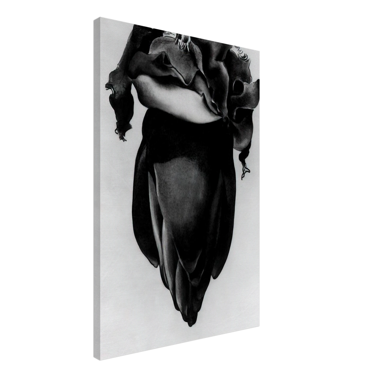 Banana Flower Canvas | Georgia O'Keeffe Canvas | Georgia O Keeffe Prints