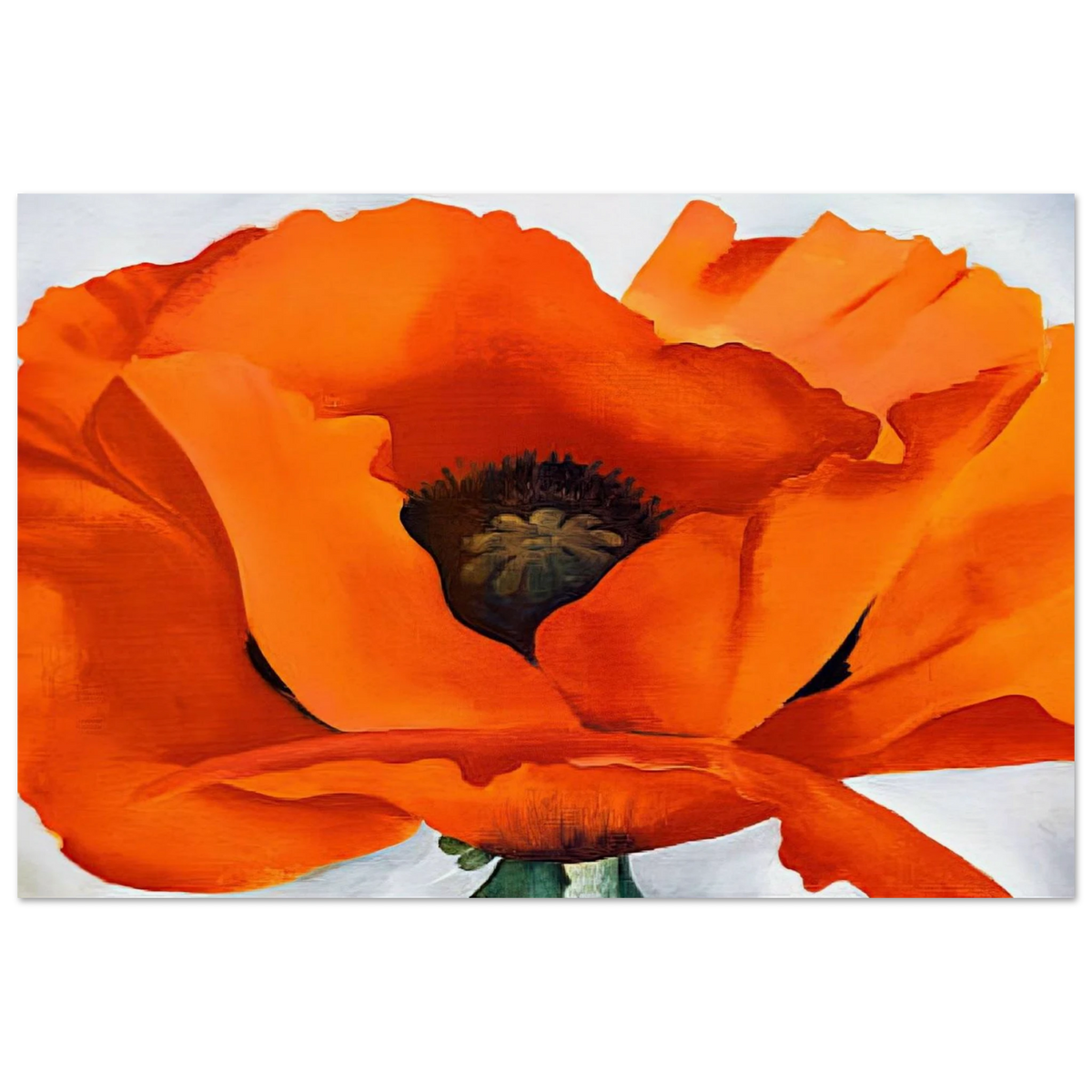 Red Poppy Poster | Georgia O'Keeffe Poster | Georgia O Keeffe Prints