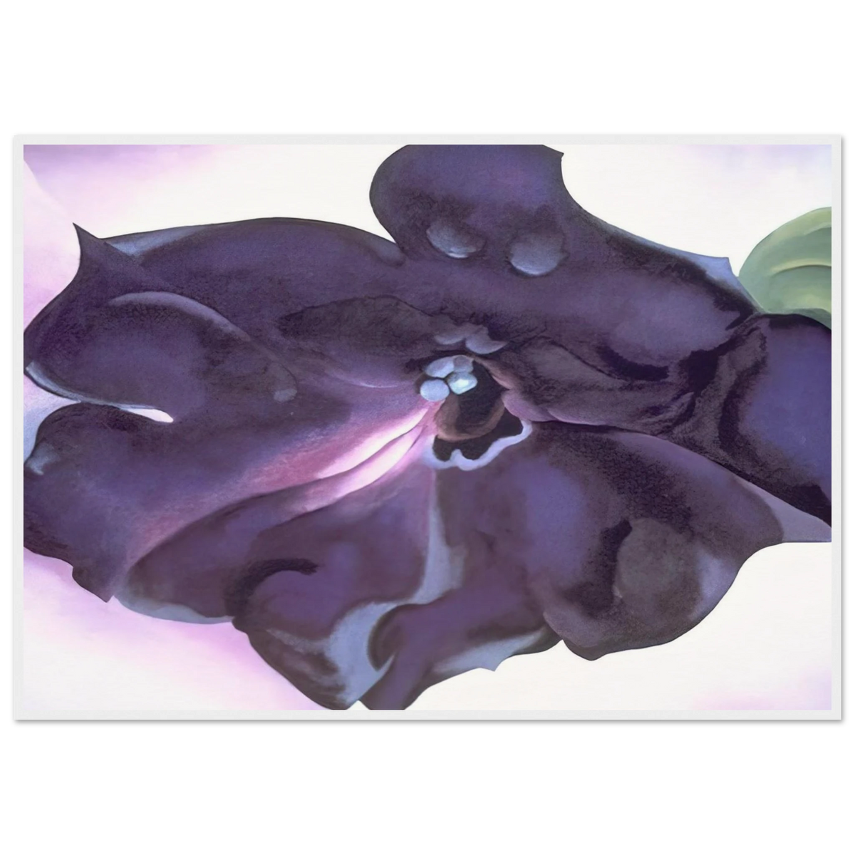 Petunia Framed Poster | Georgia O'Keeffe Framed Prints Wall Art | Georgia O Keeffe Prints