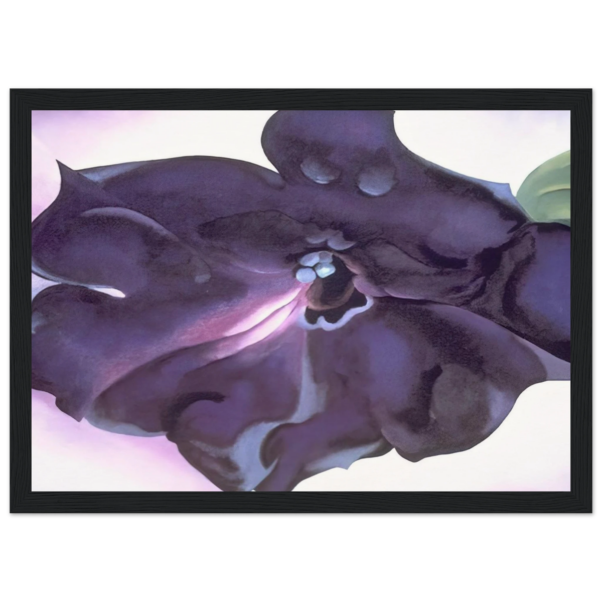 Petunia Framed Poster | Georgia O'Keeffe Framed Prints Wall Art | Georgia O Keeffe Prints