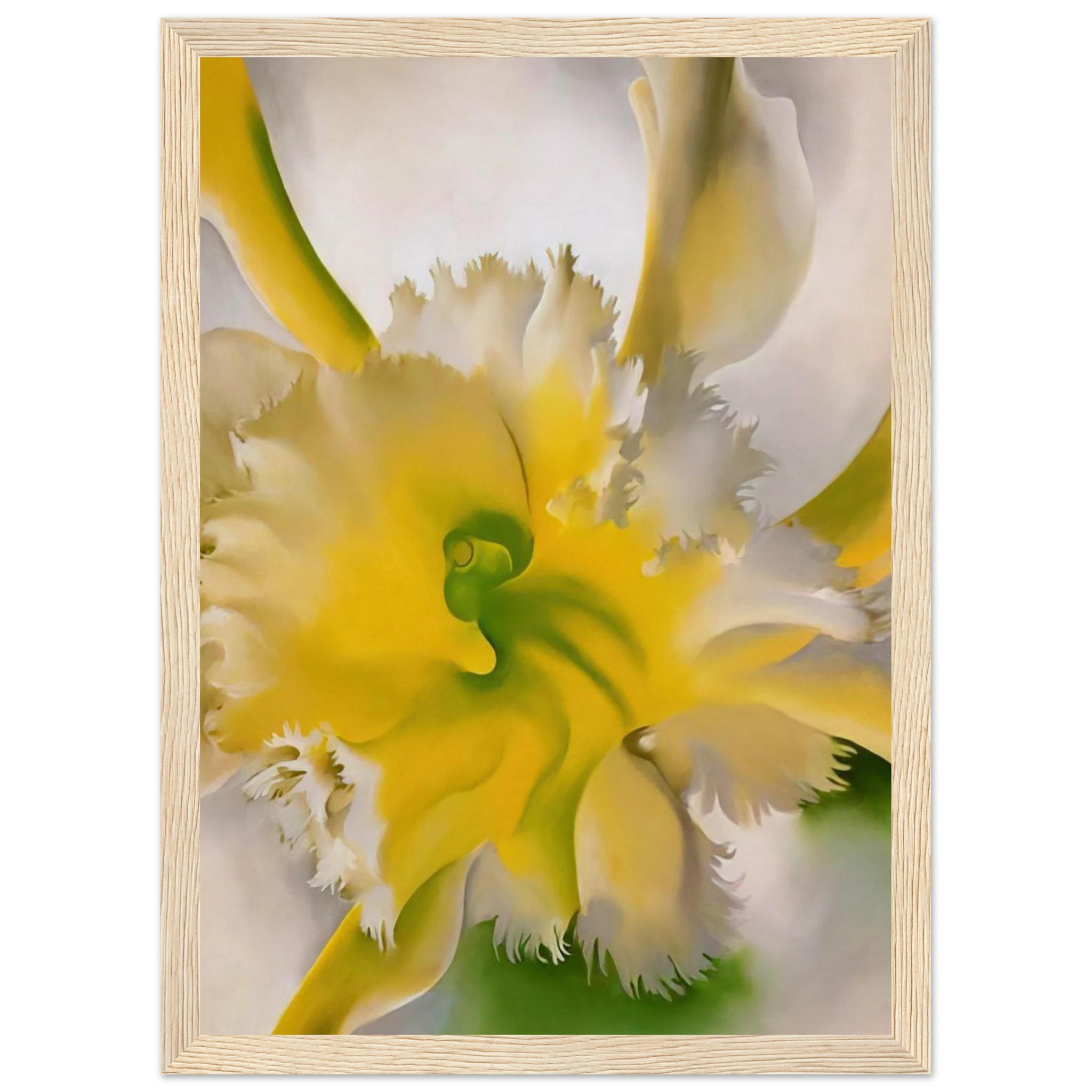 An Orchid Framed Poster | Georgia O'Keeffe Framed Prints Wall Art | Georgia O Keeffe Prints