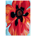 Red Poppy VI Poster | Georgia O'Keeffe Poster | Georgia O Keeffe Prints
