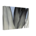 Bare Tree Trunks with Snow Canvas | Georgia O'Keeffe Canvas | Georgia O Keeffe Prints