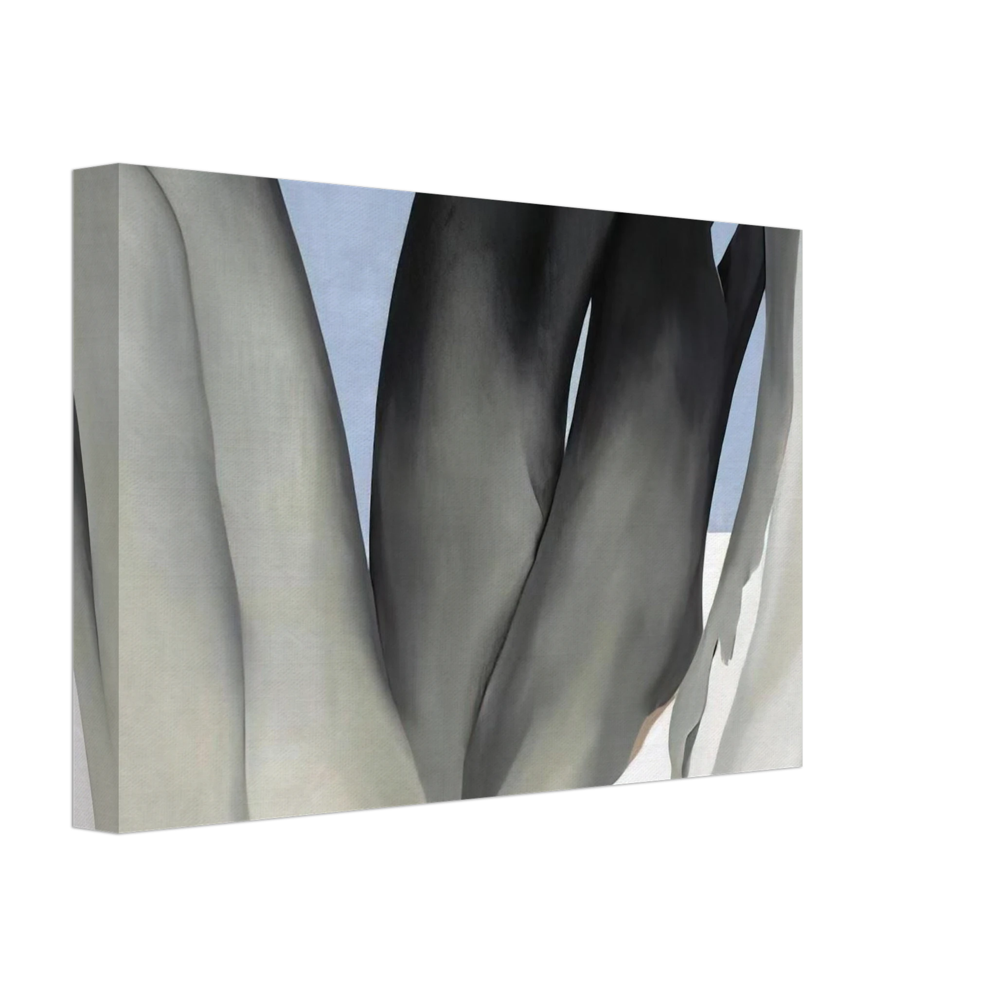 Bare Tree Trunks with Snow Canvas | Georgia O'Keeffe Canvas | Georgia O Keeffe Prints