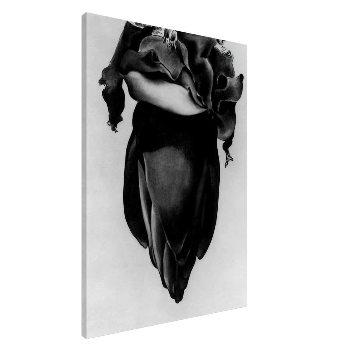 Banana Flower Canvas | Georgia O'Keeffe Canvas | Georgia O Keeffe Prints