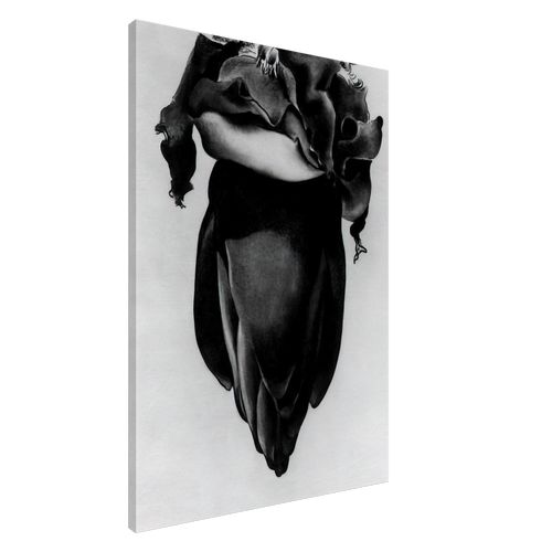 Banana Flower Canvas | Georgia O'Keeffe Canvas | Georgia O Keeffe Prints