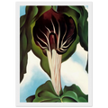 Jack-in-the-Pulpit III Framed Poster | Georgia O'Keeffe Framed Prints Wall Art | Georgia O Keeffe Prints