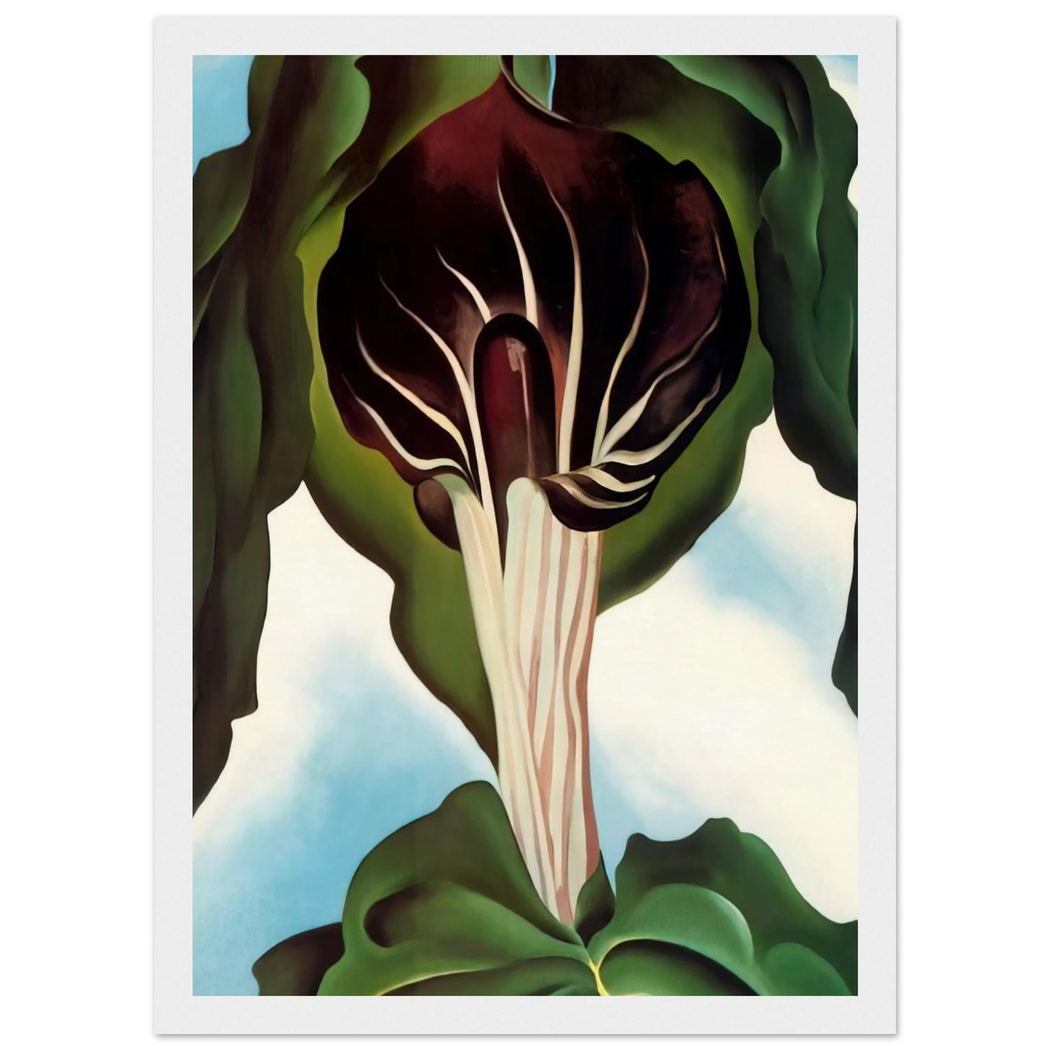 Jack-in-the-Pulpit III Framed Poster | Georgia O'Keeffe Framed Prints Wall Art | Georgia O Keeffe Prints
