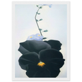 Pansy Framed Poster | Georgia O'Keeffe Framed Prints Wall Art | Georgia O Keeffe Prints