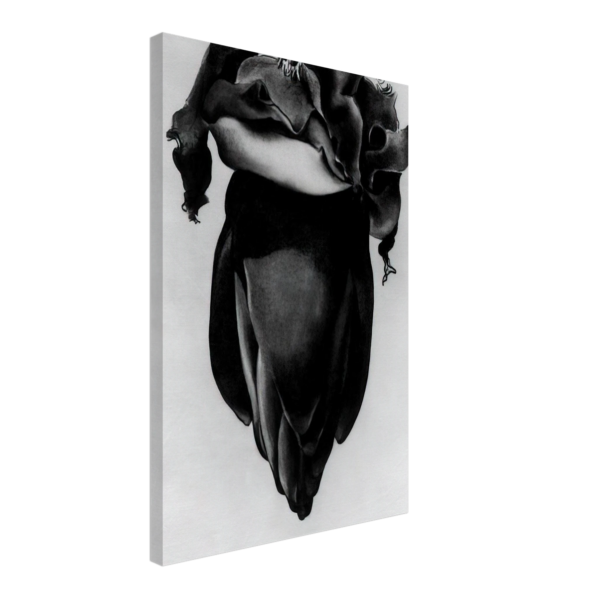Banana Flower Canvas | Georgia O'Keeffe Canvas | Georgia O Keeffe Prints
