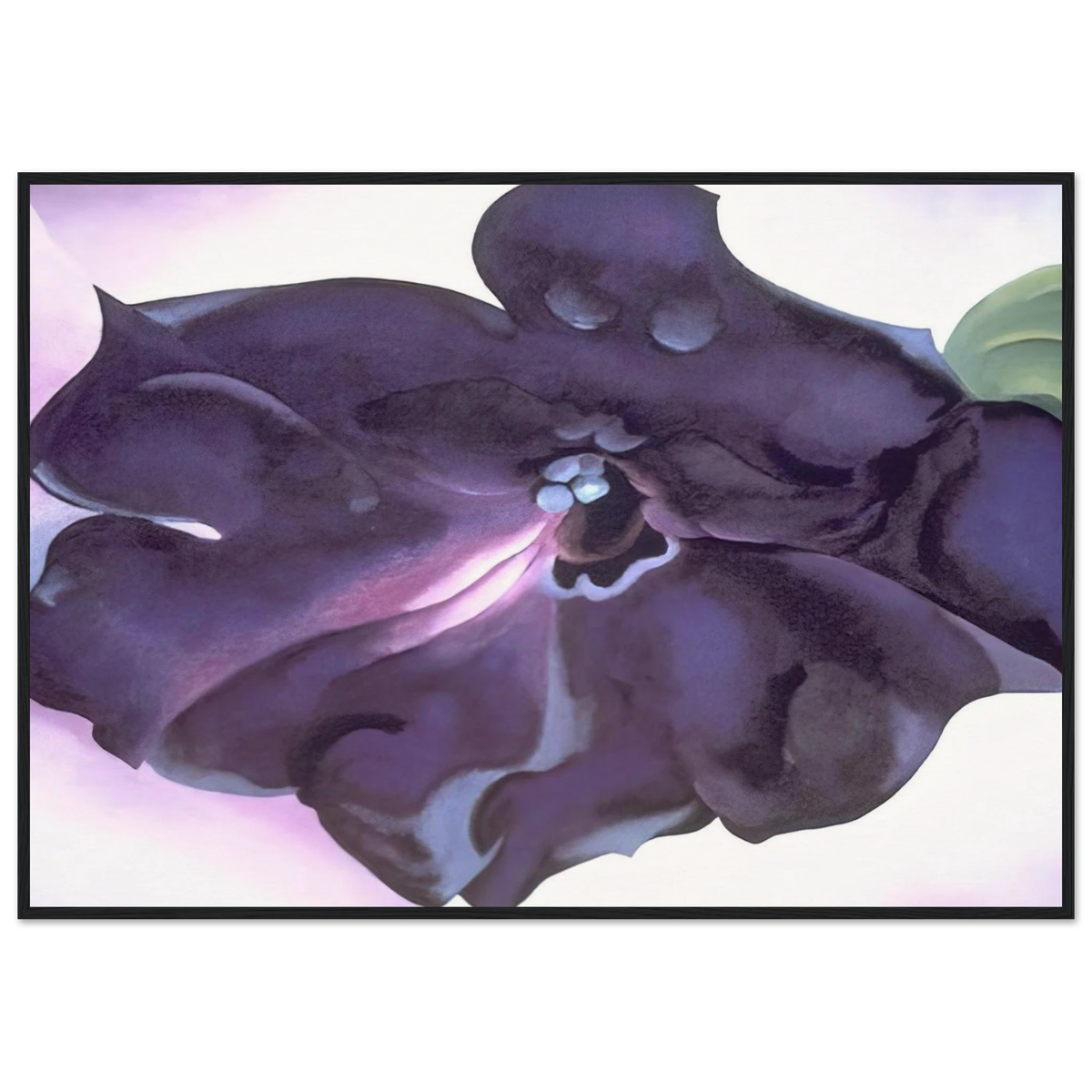Petunia Framed Poster | Georgia O'Keeffe Framed Prints Wall Art | Georgia O Keeffe Prints