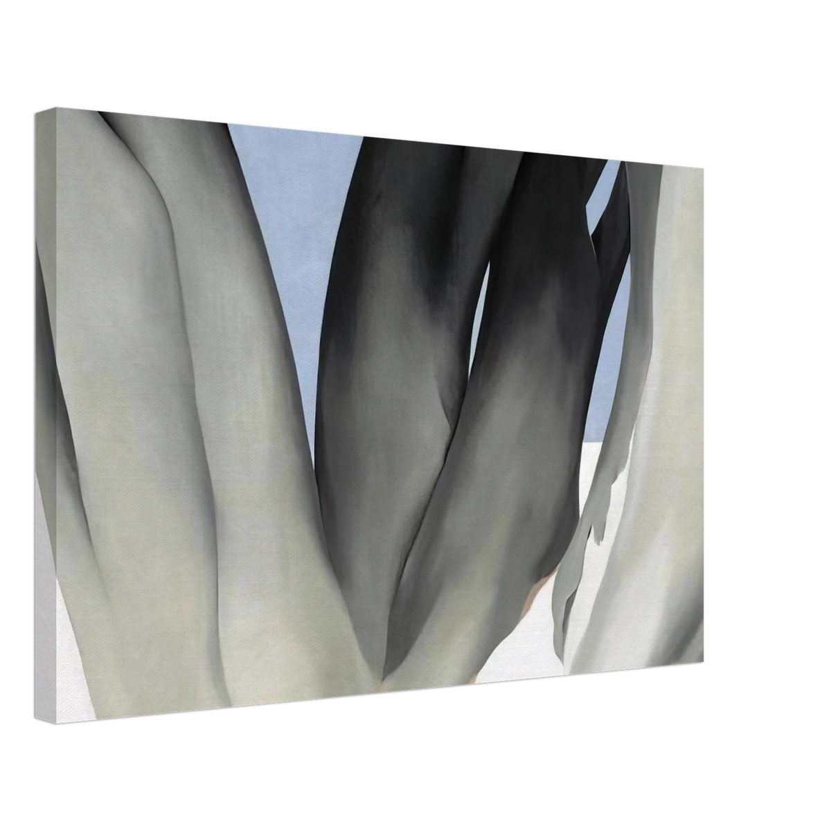 Bare Tree Trunks with Snow Canvas | Georgia O'Keeffe Canvas | Georgia O Keeffe Prints