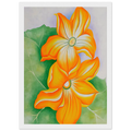 Squash Blossoms Framed Poster | Georgia O'Keeffe Framed Prints Wall Art | Georgia O Keeffe Prints