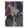 Canna Leaves Framed Poster | Georgia O'Keeffe Framed Prints Wall Art | Georgia O Keeffe Prints