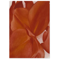 Red Cannas Poster | Georgia O'Keeffe Poster | Georgia O Keeffe Prints