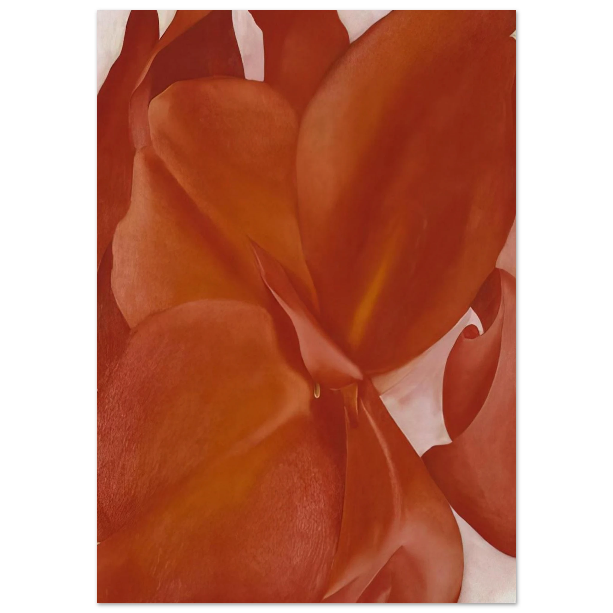 Red Cannas Poster | Georgia O'Keeffe Poster | Georgia O Keeffe Prints