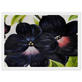 Black and Purple Petunias Framed Poster | Georgia O'Keeffe Framed Prints Wall Art | Georgia O Keeffe Prints