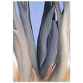 Dark Tree Trunks Poster | Georgia O'Keeffe Poster | Georgia O Keeffe Prints