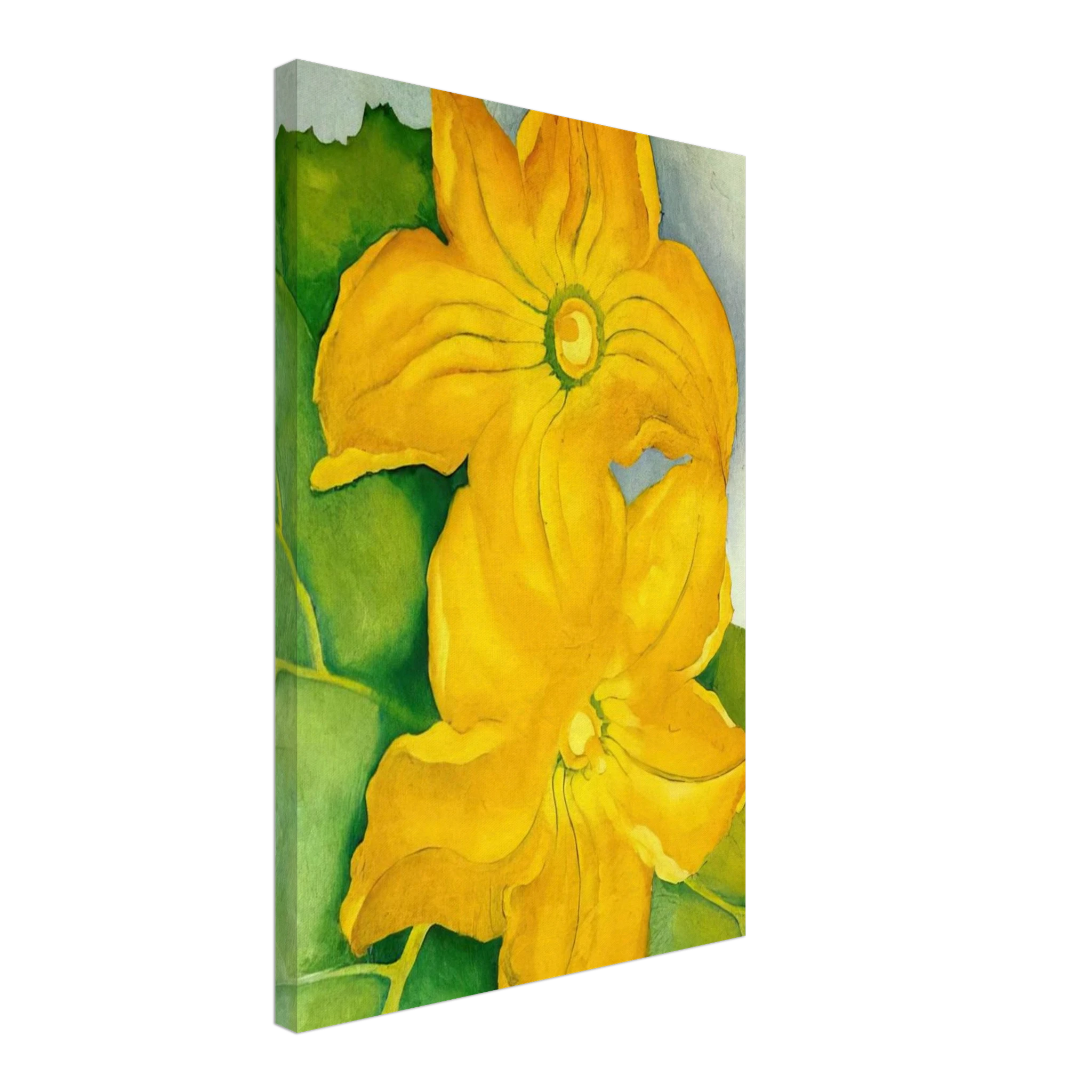 Squash Blossoms I Canvas | Georgia O'Keeffe Canvas | Georgia O Keeffe Prints