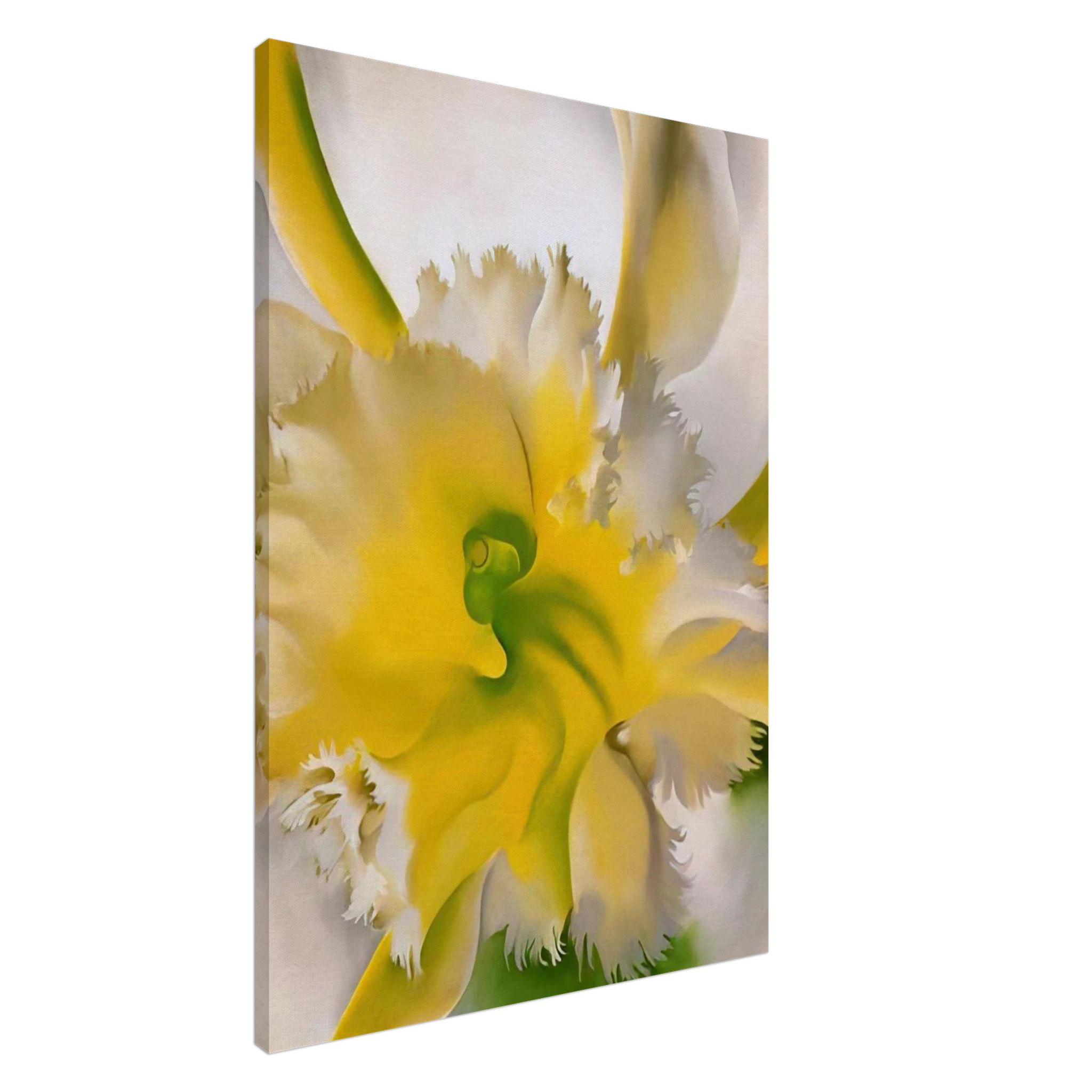 An Orchid Canvas | Georgia O'Keeffe Canvas | Georgia O Keeffe Prints