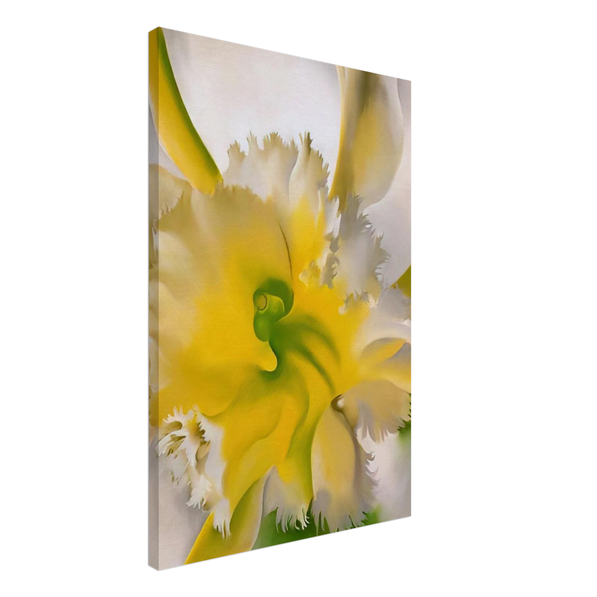 An Orchid Canvas | Georgia O'Keeffe Canvas | Georgia O Keeffe Prints