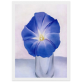 Blue Morning Glory Framed Poster | Georgia O'Keeffe Framed Prints Wall Art | Georgia O Keeffe Prints