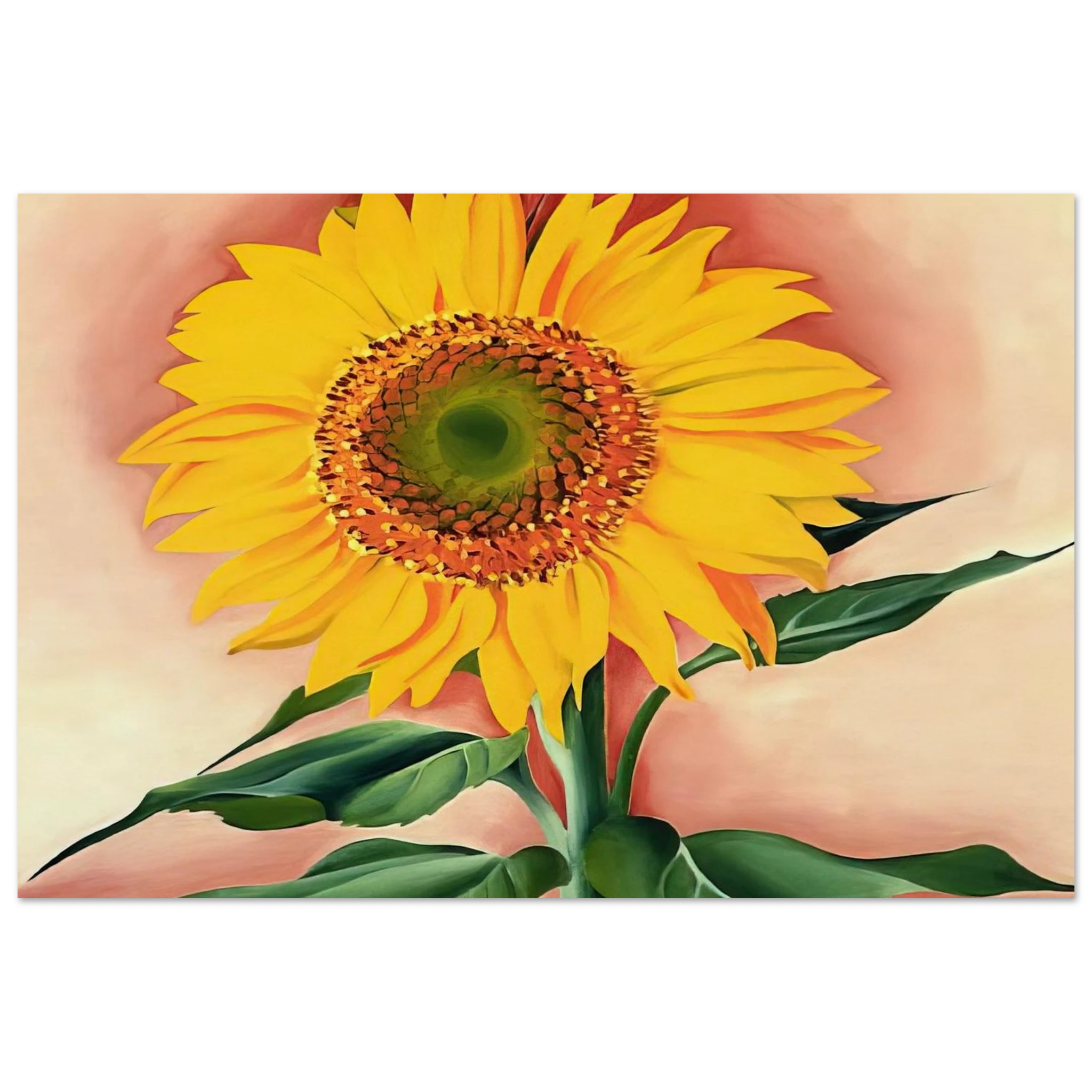 A Sunflower from Maggie Poster | Georgia O'Keeffe Poster | Georgia O Keeffe Prints