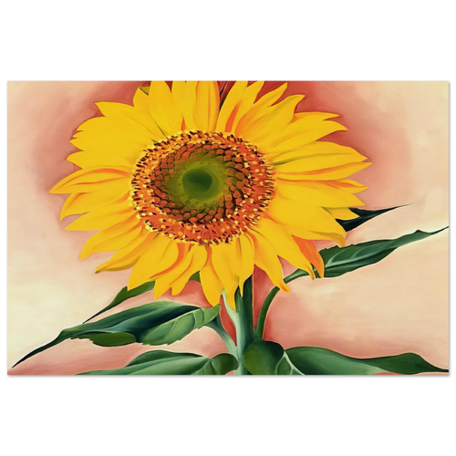 A Sunflower from Maggie Poster | Georgia O'Keeffe Poster | Georgia O Keeffe Prints