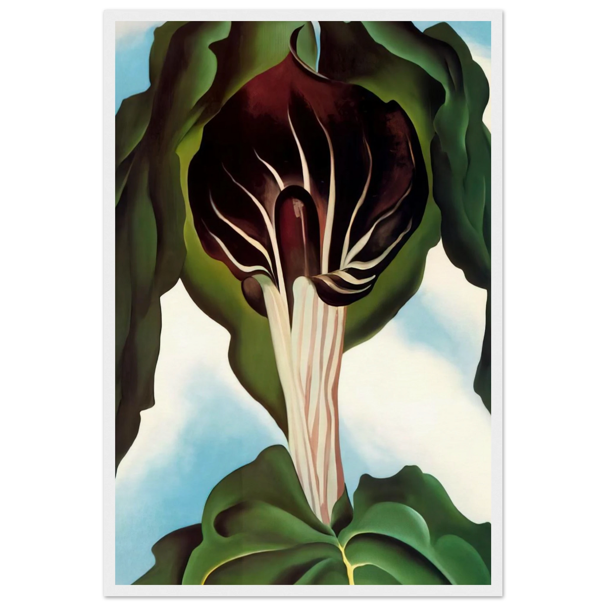 Jack-in-the-Pulpit III Framed Poster | Georgia O'Keeffe Framed Prints Wall Art | Georgia O Keeffe Prints