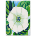 Jimson Weed Poster | Georgia O'Keeffe Poster | Georgia O Keeffe Prints