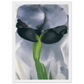 Iris 7 Framed Poster | Georgia O'Keeffe Framed Prints Wall Art | Georgia O Keeffe Prints