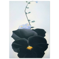 Pansy Poster | Georgia O'Keeffe Poster | Georgia O Keeffe Prints