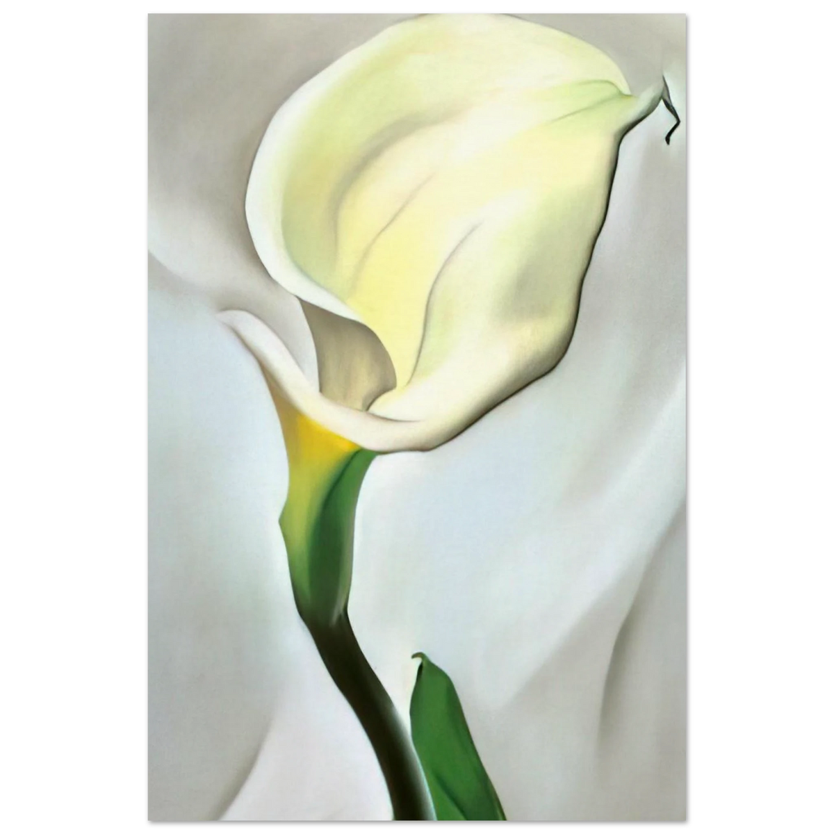 Calla Lily Turned Away Poster | Georgia O'Keeffe Poster | Georgia O Keeffe Prints
