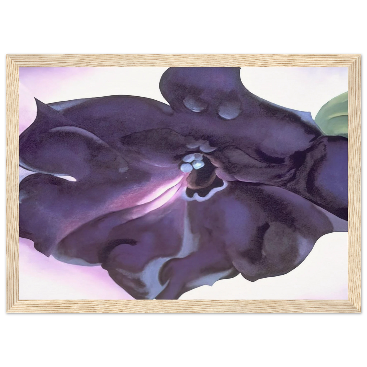 Petunia Framed Poster | Georgia O'Keeffe Framed Prints Wall Art | Georgia O Keeffe Prints