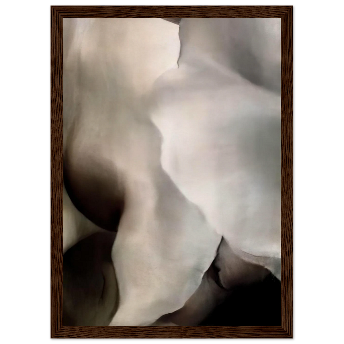 Dark Iris ?3 Framed Poster | Georgia O'Keeffe Framed Prints Wall Art | Georgia O Keeffe Prints