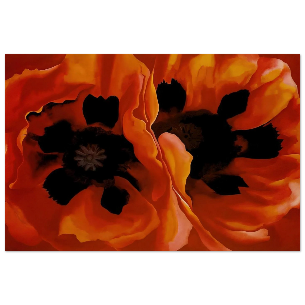 Oriental Poppies Poster | Georgia O'Keeffe Poster | Georgia O Keeffe Prints