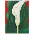 Single Calla Lily  Red  Poster | Georgia O'Keeffe Poster | Georgia O Keeffe Prints