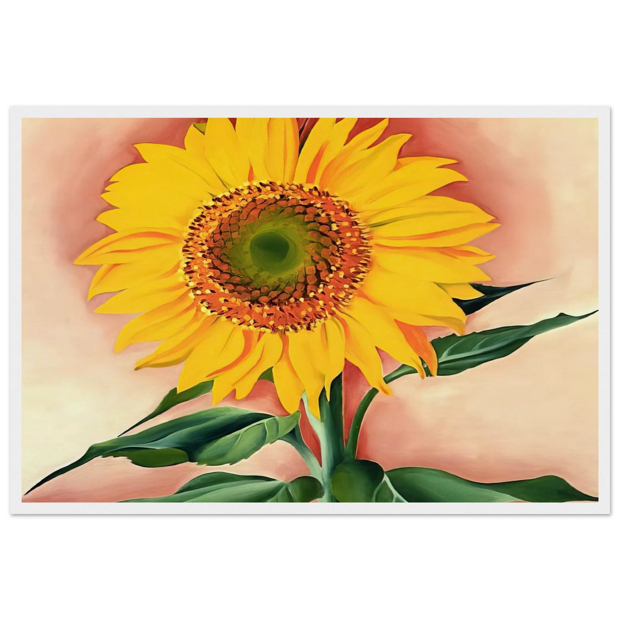 A Sunflower from Maggie Framed Poster | Georgia O'Keeffe Framed Prints Wall Art | Georgia O Keeffe Prints