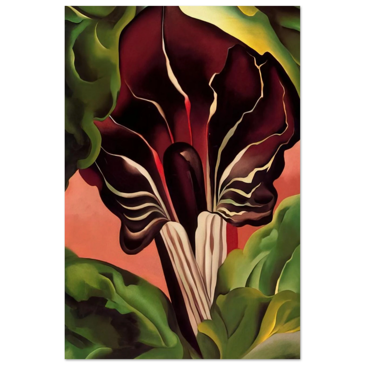 Jack-in-the-Pulpit II Poster | Georgia O'Keeffe Poster | Georgia O Keeffe Prints