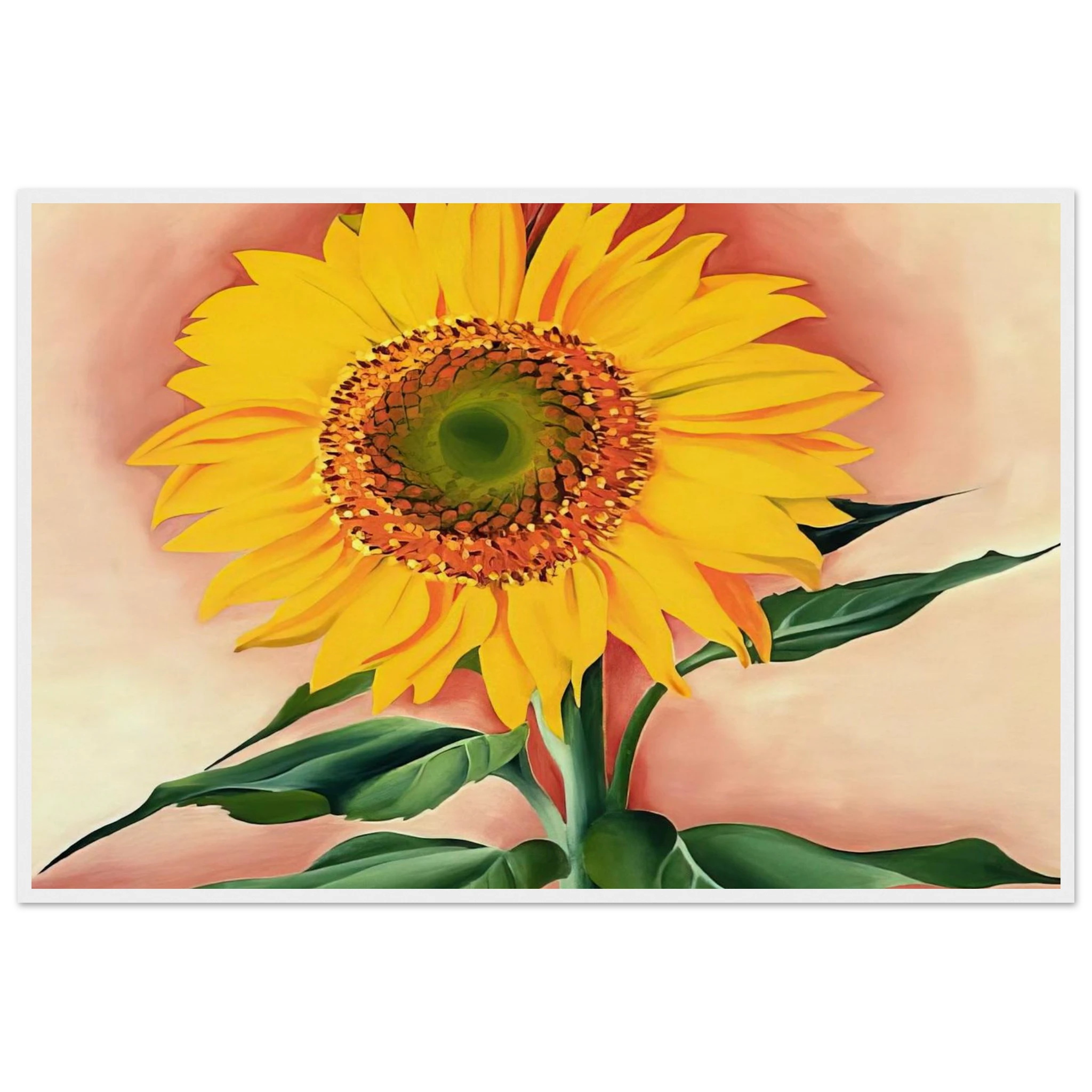 A Sunflower from Maggie Framed Poster | Georgia O'Keeffe Framed Prints Wall Art | Georgia O Keeffe Prints