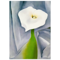 Calla Lily on Grey Poster | Georgia O'Keeffe Poster | Georgia O Keeffe Prints