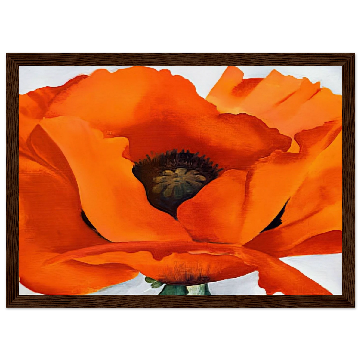 Red Poppy Framed Poster | Georgia O'Keeffe Framed Prints Wall Art | Georgia O Keeffe Prints