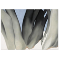 Bare Tree Trunks with Snow Poster | Georgia O'Keeffe Poster | Georgia O Keeffe Prints