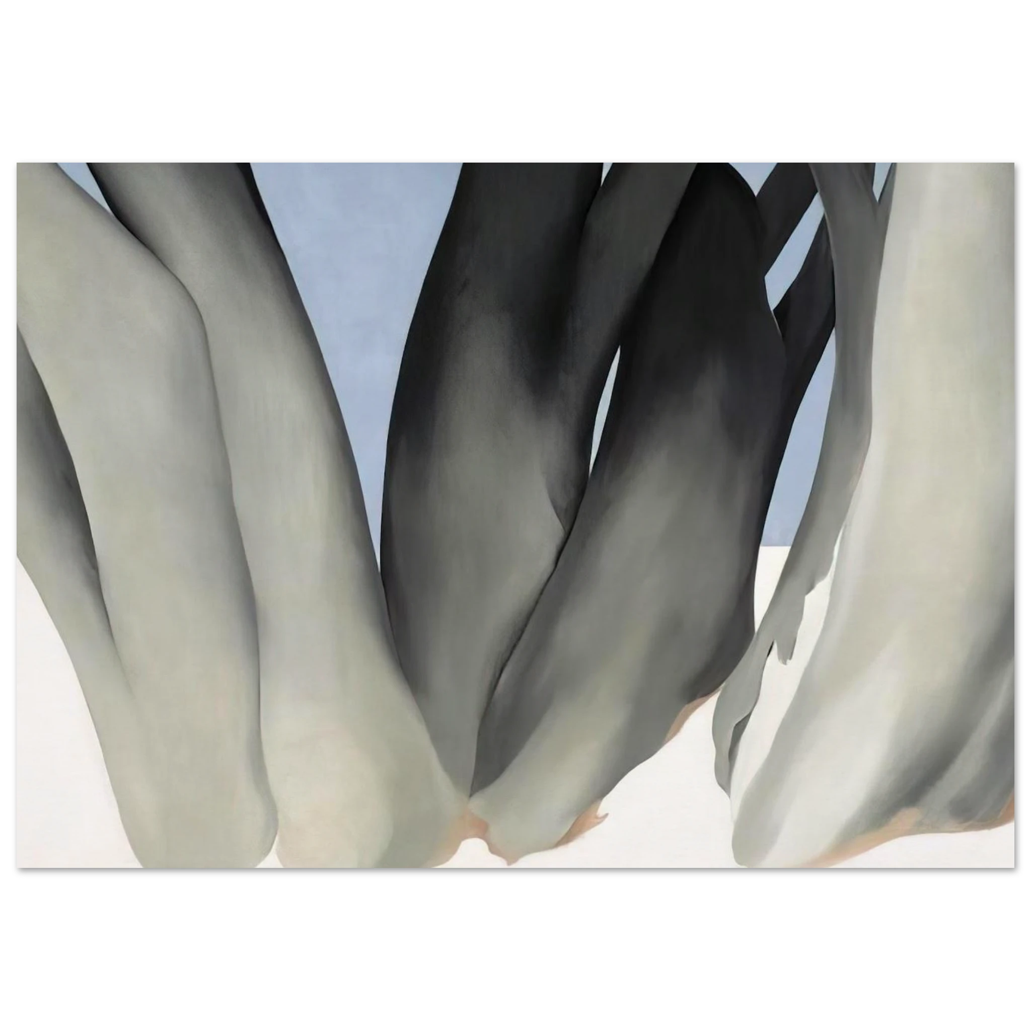 Bare Tree Trunks with Snow Poster | Georgia O'Keeffe Poster | Georgia O Keeffe Prints