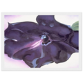 Petunia Framed Poster | Georgia O'Keeffe Framed Prints Wall Art | Georgia O Keeffe Prints