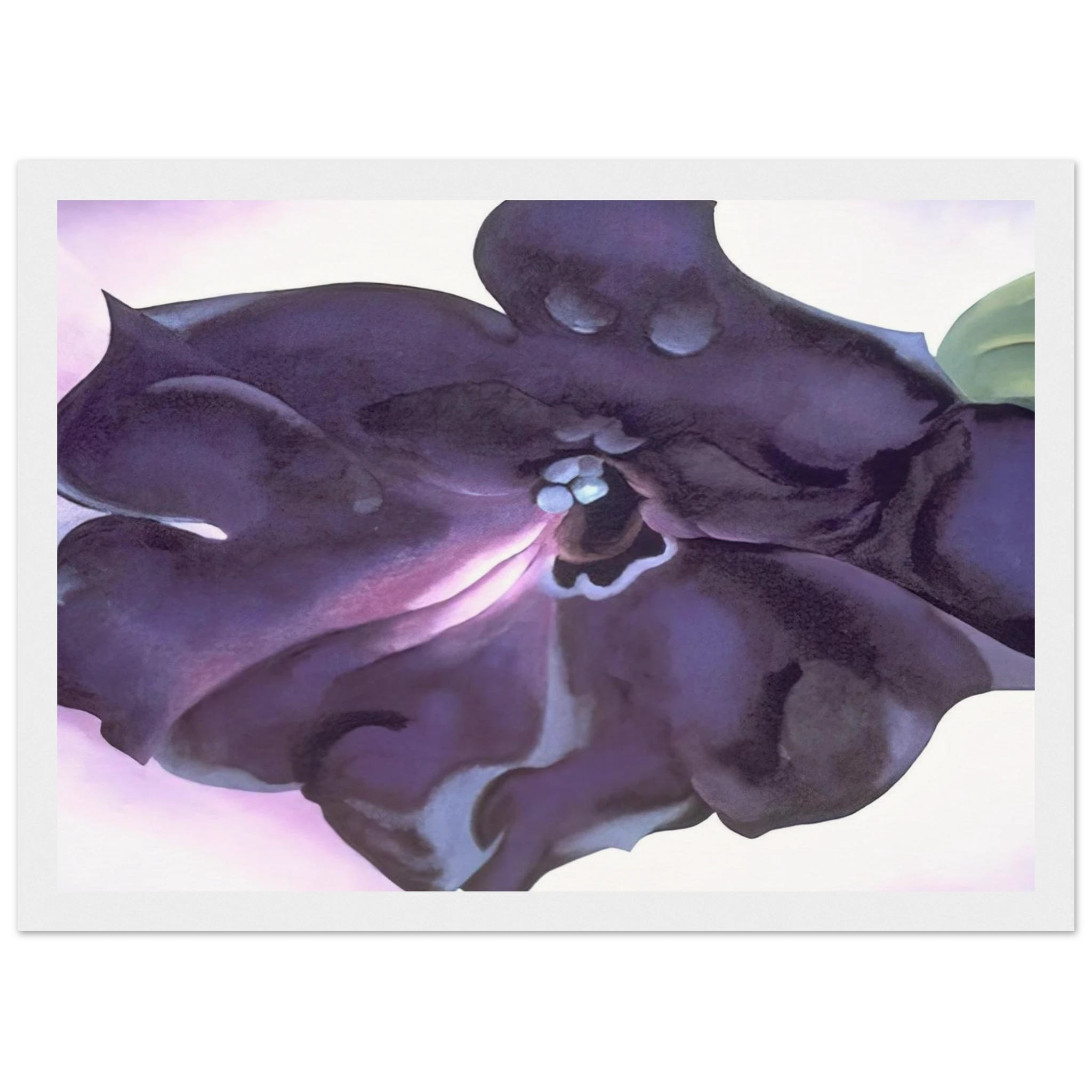 Petunia Framed Poster | Georgia O'Keeffe Framed Prints Wall Art | Georgia O Keeffe Prints
