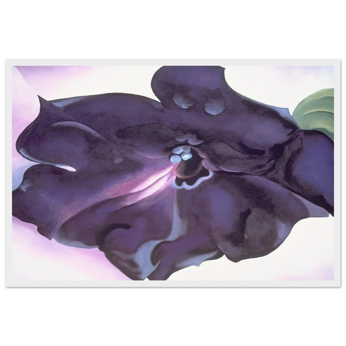 Petunia Framed Poster | Georgia O'Keeffe Framed Prints Wall Art | Georgia O Keeffe Prints