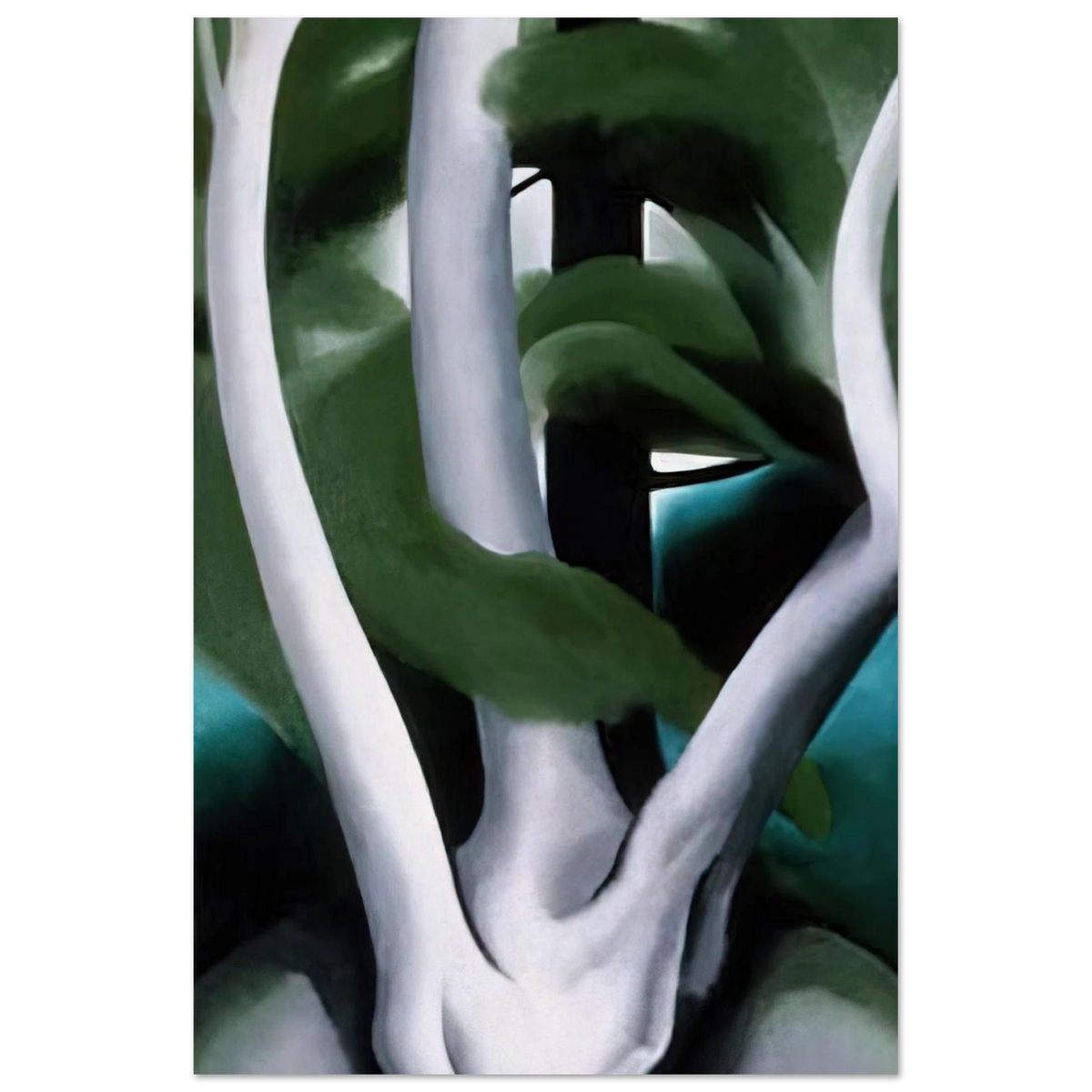 Birch and Pine Tree No. 1 Poster | Georgia O'Keeffe Poster | Georgia O Keeffe Prints