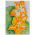 Squash Blossoms Poster | Georgia O'Keeffe Poster | Georgia O Keeffe Prints