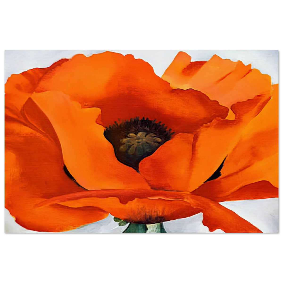 Red Poppy Poster | Georgia O'Keeffe Poster | Georgia O Keeffe Prints